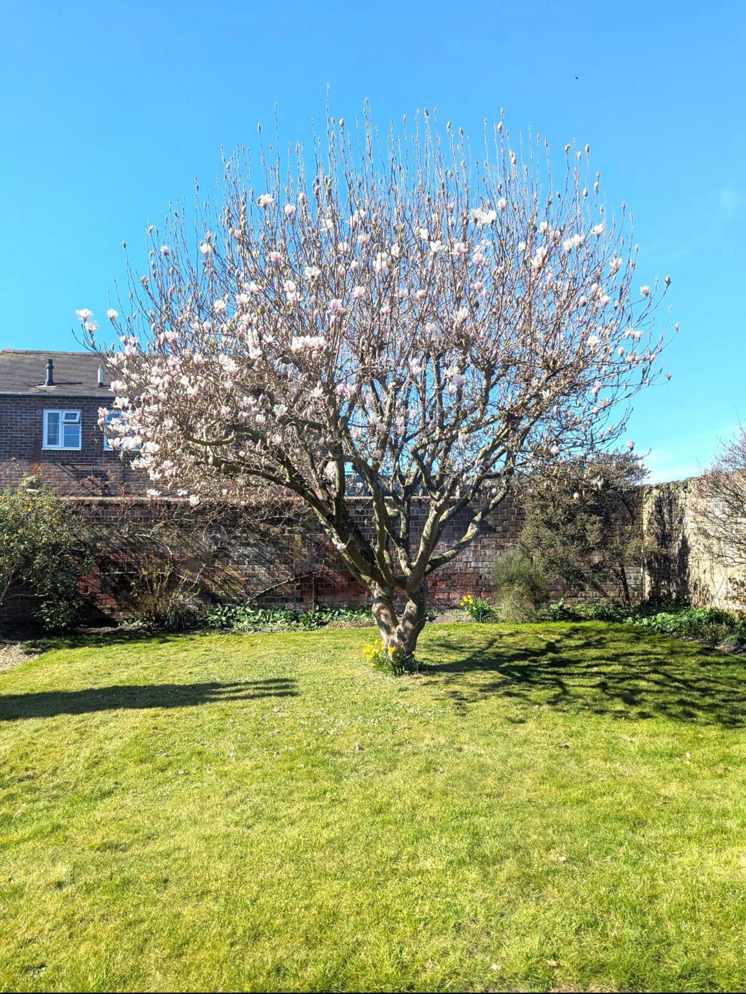 Georgian 2 Bedroom Apartment In Chichester With Free Parking - Chichester Holiday Properties Exterior foto