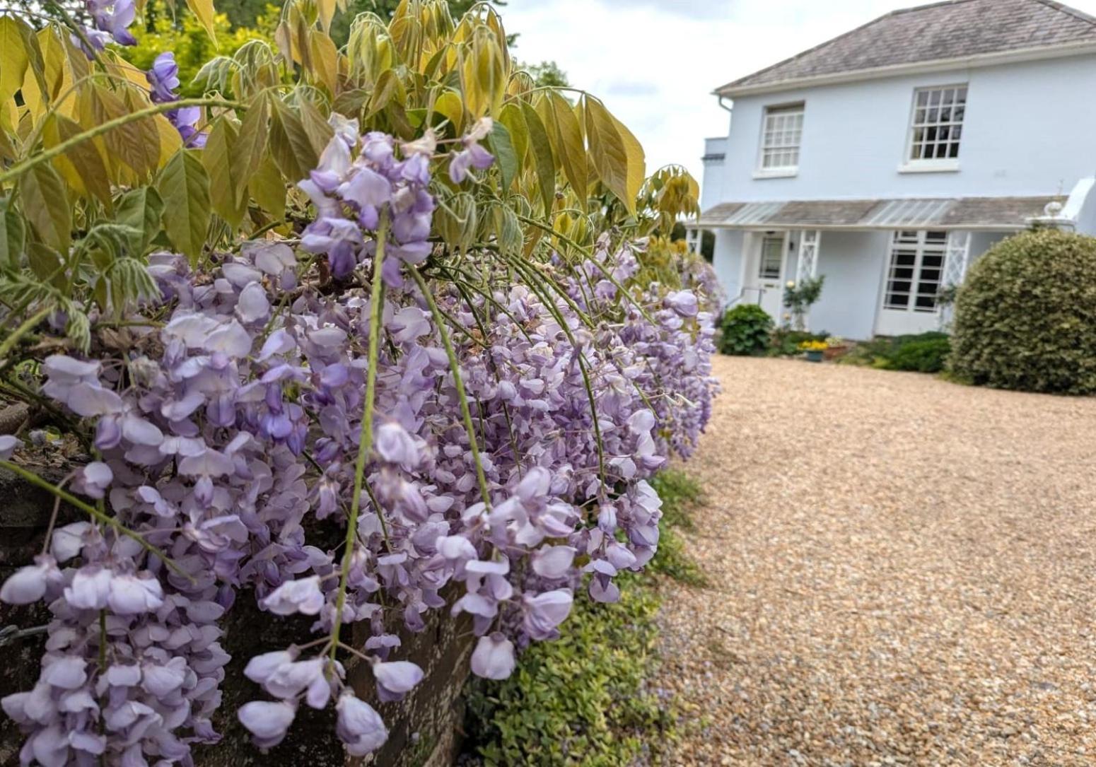 Georgian 2 Bedroom Apartment In Chichester With Free Parking - Chichester Holiday Properties Exterior foto